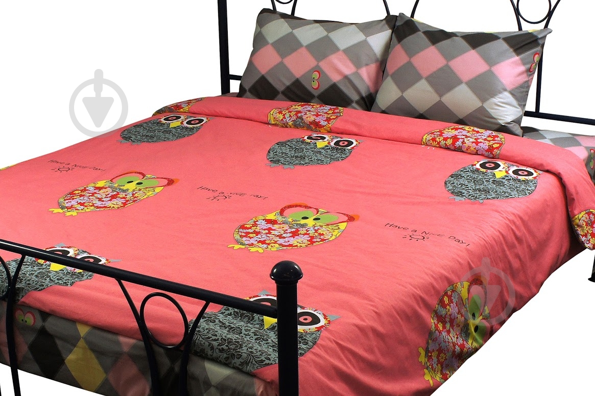 Комплект постельного белья Руно Owl с рисунком 655.137К_Owl - фото 2