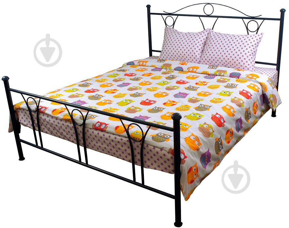 Комплект постельного белья Руно Совы с рисунком 655.137К_Сови_1 - фото 1