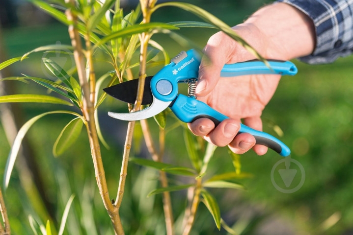 Секатор плоскостной Cellfast Ideal (40-414) - фото 3 Секатор плоскостной Cellfast Ideal (40-414) - фото 3