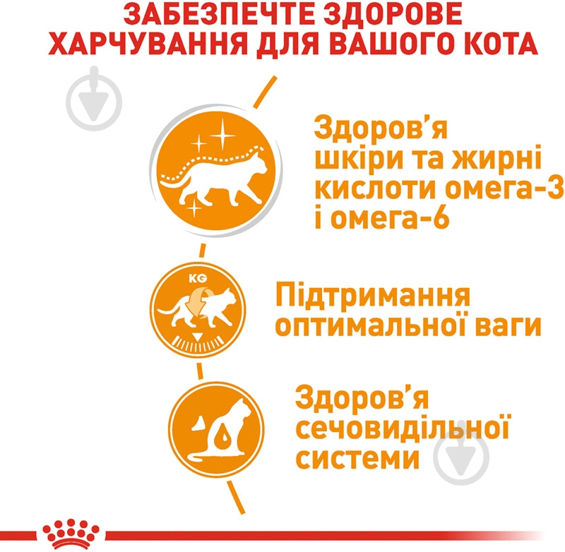 Корм влажный для поддержания здоровья кожи и красоты шерсти Royal Canin Intense Beauty в желе рыба, злаки 85 г - фото 5