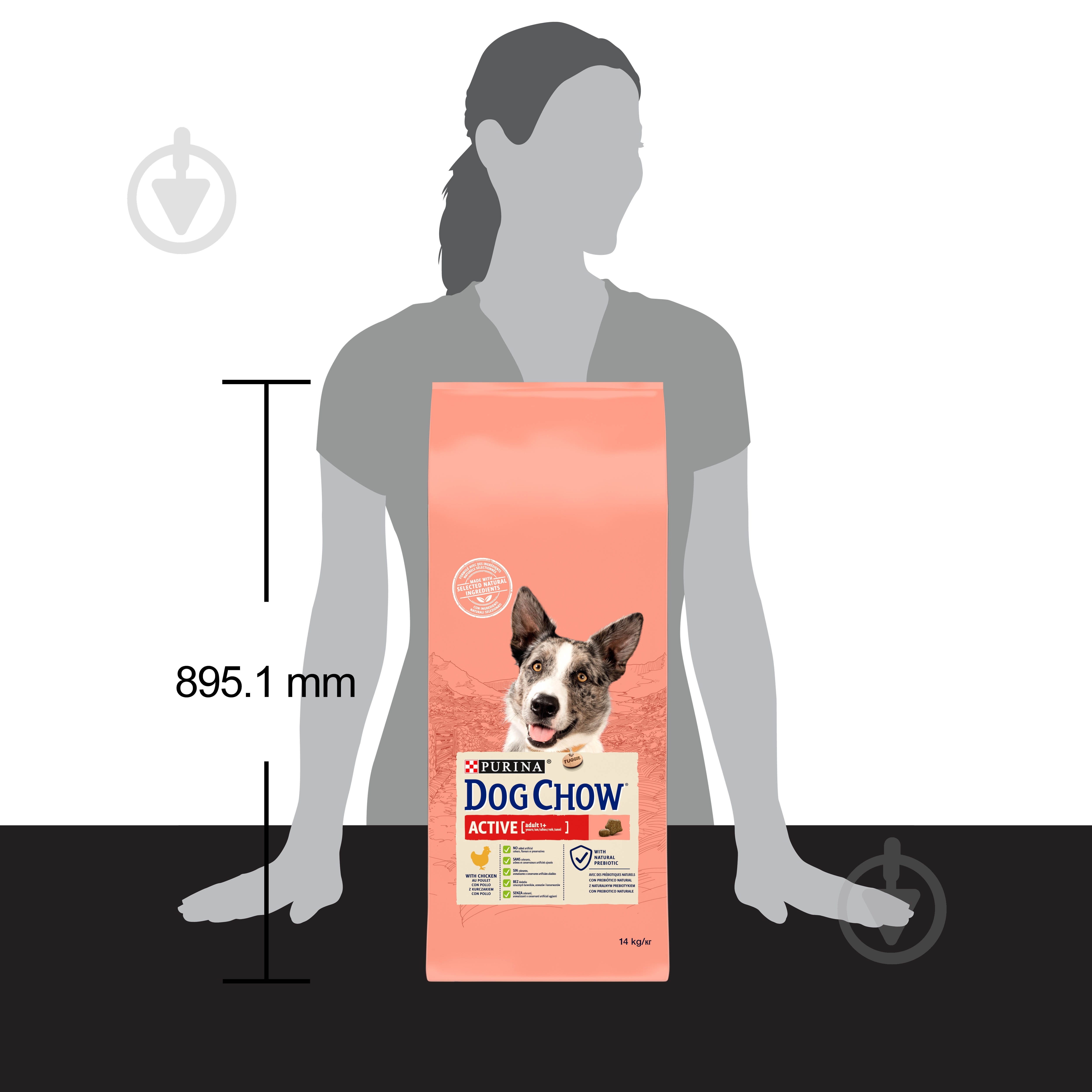 Корм сухой Dog Chow by Purina Active Adult 1+ для взрослых собак с повышенной активностью с курицей 14 кг - фото 5 Корм сухой Dog Chow by Purina Active Adult 1+ для взрослых собак с повышенной активностью с курицей 14 кг - фото 5