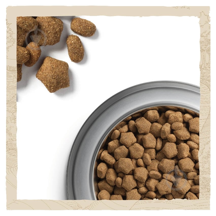 Корм сухой Dog Chow by Purina Active Adult 1+ для взрослых собак с повышенной активностью с курицей 14 кг - фото 10 Корм сухой Dog Chow by Purina Active Adult 1+ для взрослых собак с повышенной активностью с курицей 14 кг - фото 10
