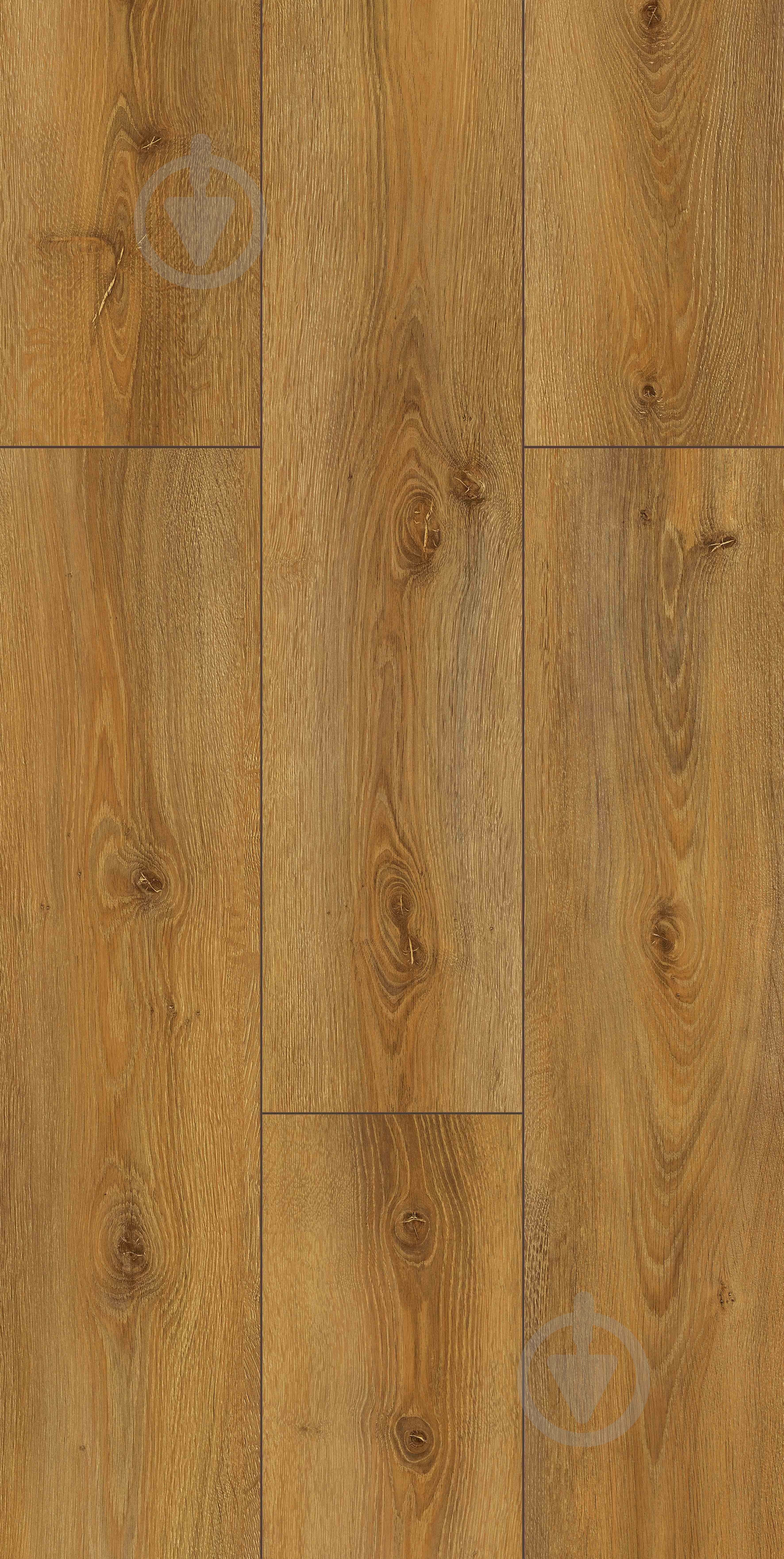 Ламинат Kastamonu FP Prime 4V avignon 32/АС4/8 мм - фото 3