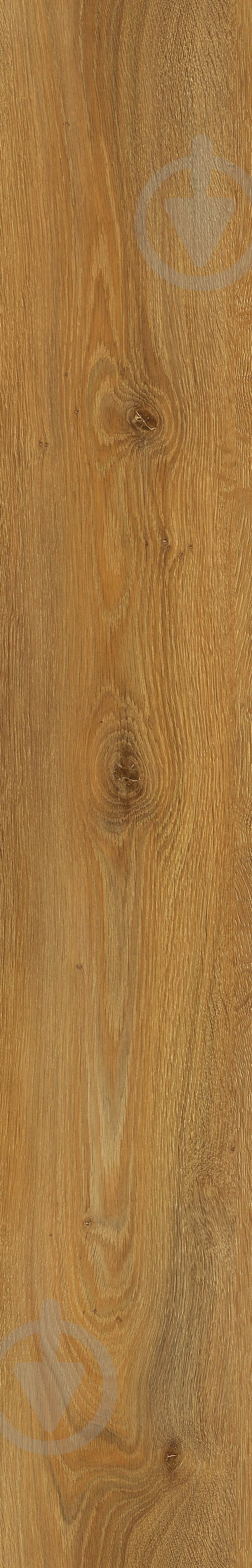 Ламинат Kastamonu FP Prime 4V avignon 32/АС4/8 мм - фото 8