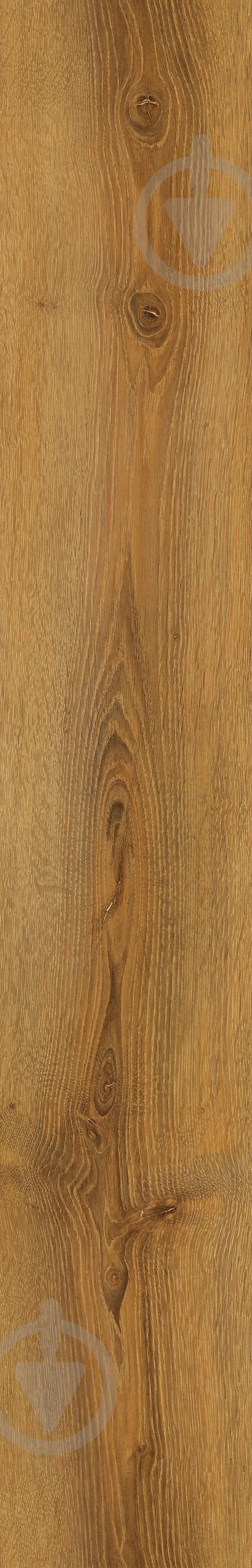 Ламинат Kastamonu FP Prime 4V avignon 32/АС4/8 мм - фото 4