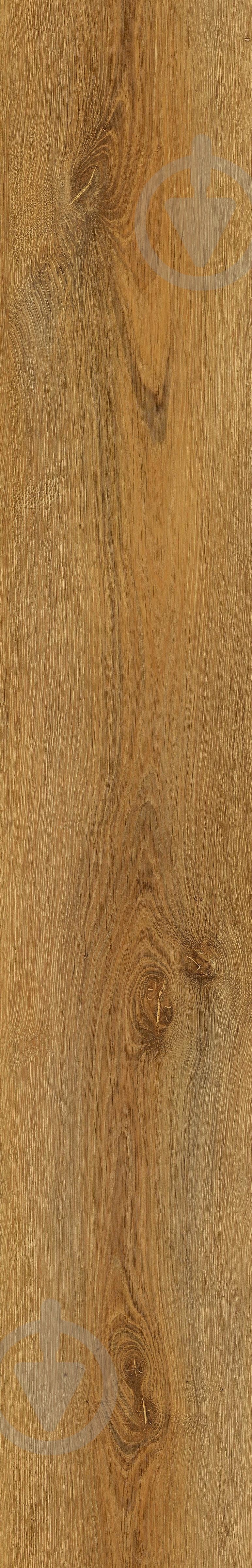 Ламинат Kastamonu FP Prime 4V avignon 32/АС4/8 мм - фото 5