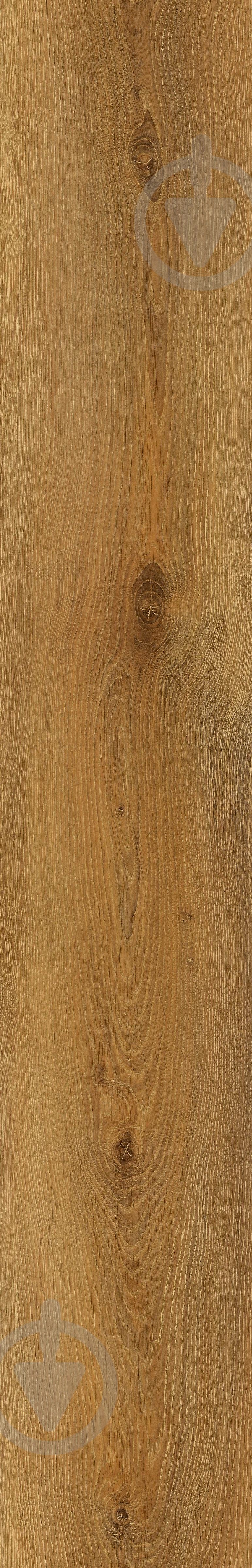 Ламинат Kastamonu FP Prime 4V avignon 32/АС4/8 мм - фото 6