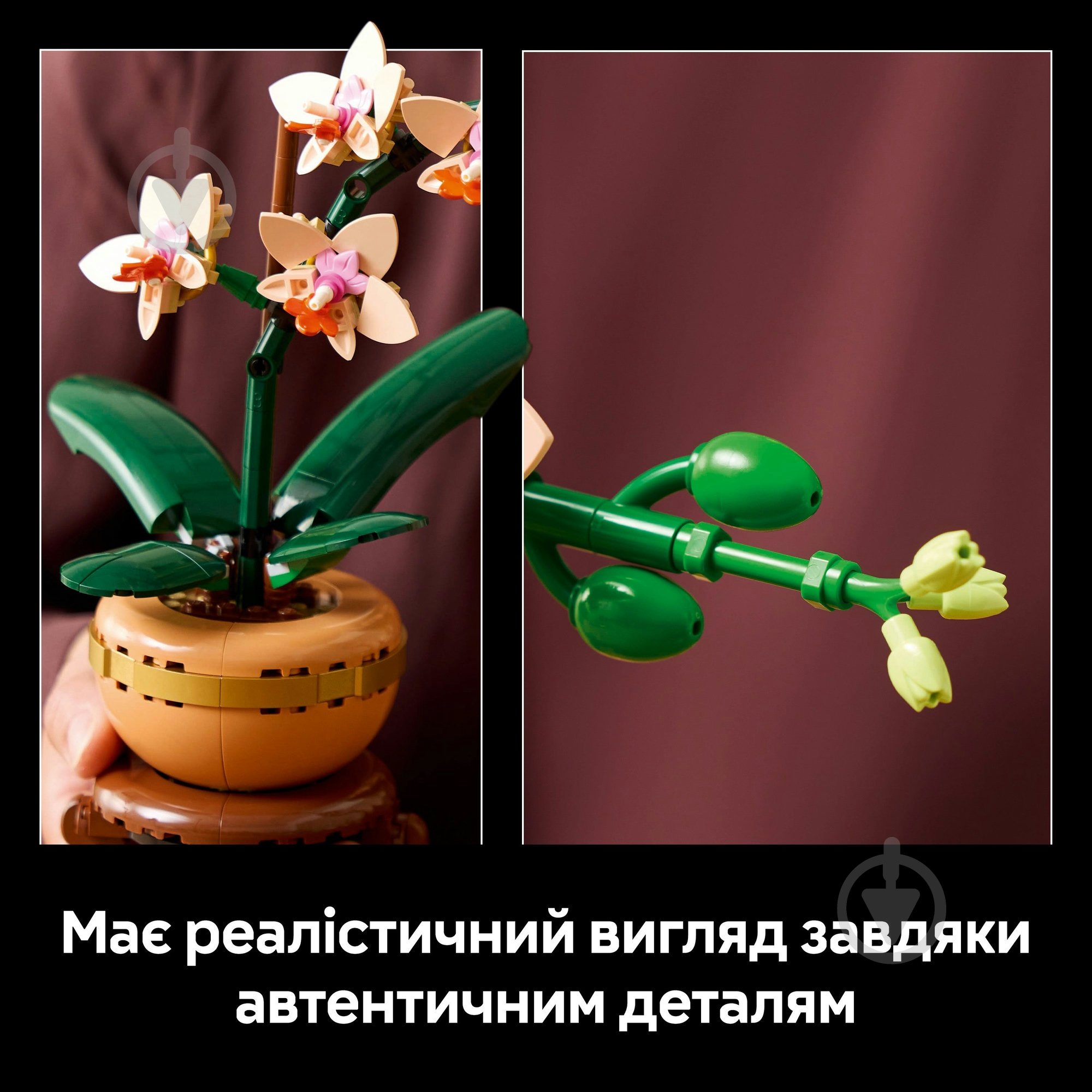 Конструктор LEGO Botanical Міні орхідея 10343 - фото 6