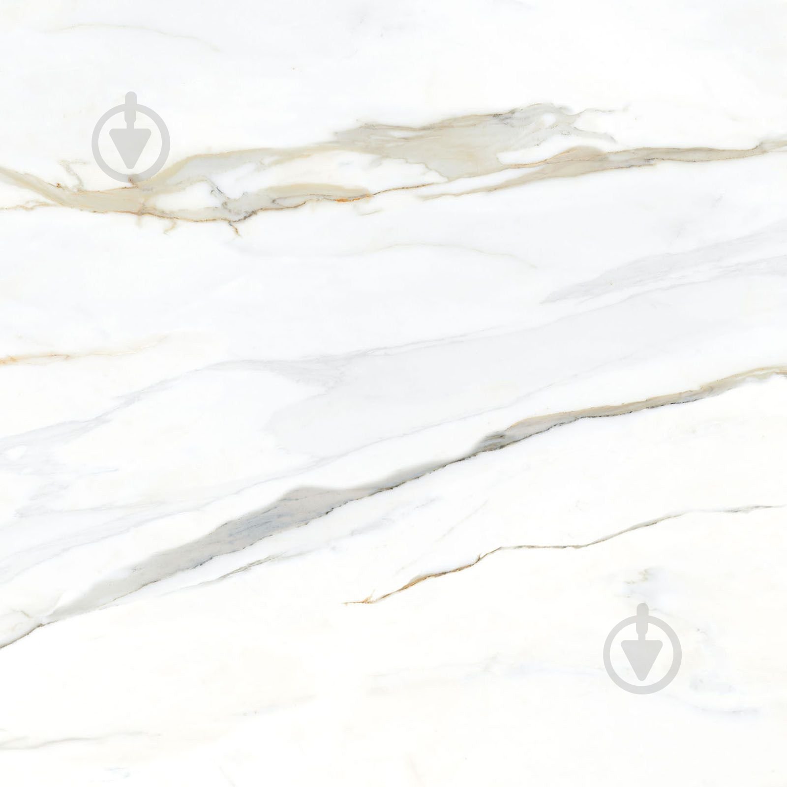Плитка TAU Ceramica EMPORIO CALACATTA MAT 120x120 - фото 1