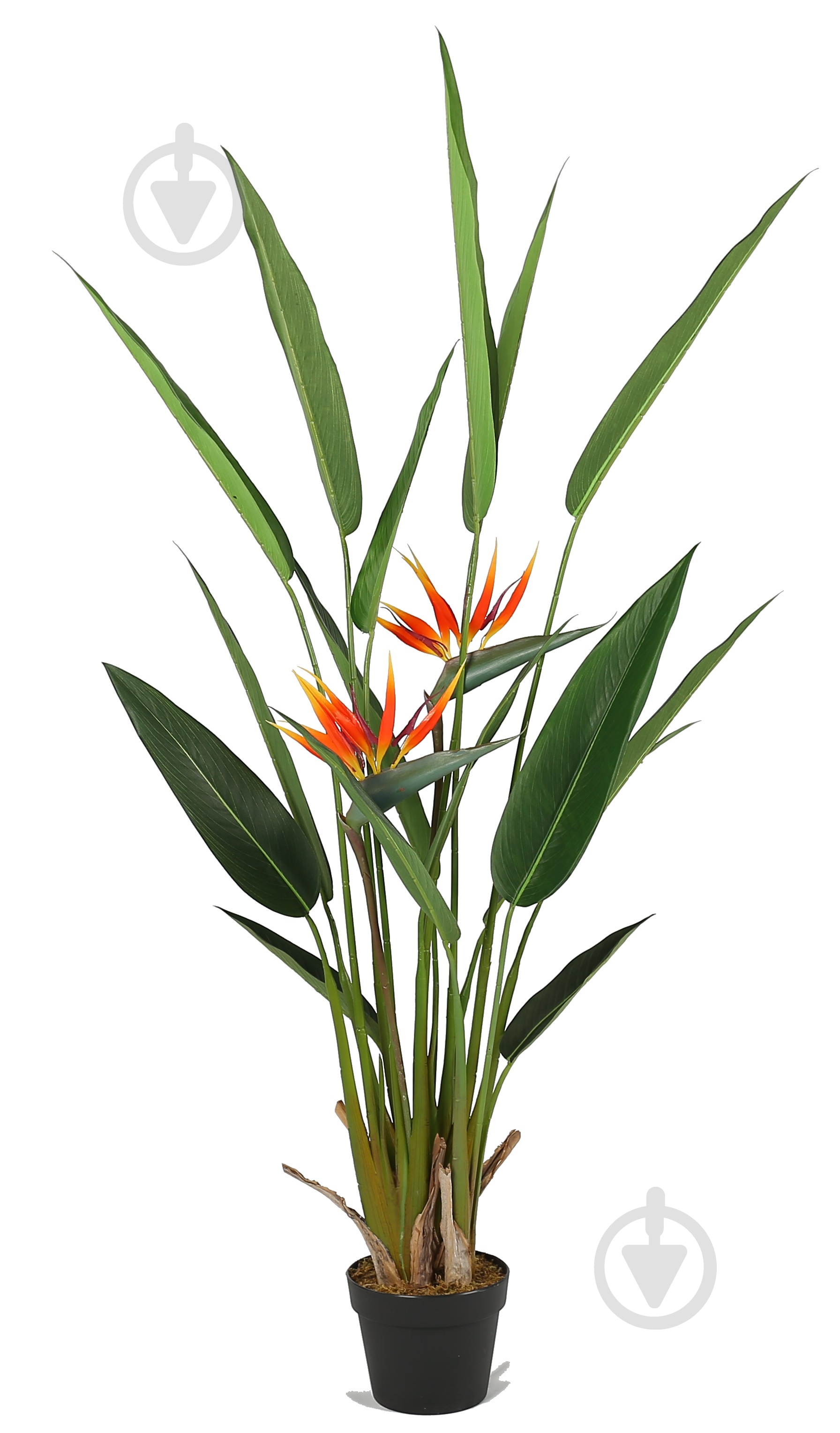 Дерево искусственное Strelitzia (DW-09) Engard - фото 1
