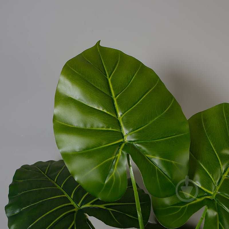 Растение искусственное Taro (DW-06) Engard - фото 2