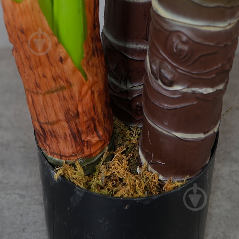 Растение искусственное Taro (DW-06) Engard - фото 5