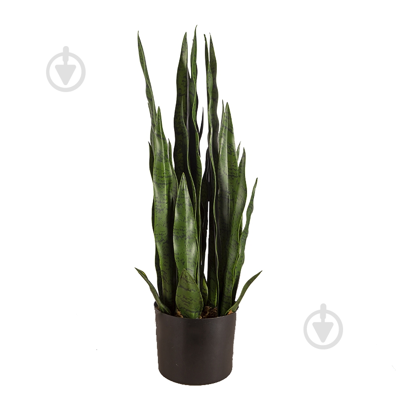 Растение искусственное Sansevieria (DW-10) Engard - фото 1 Растение искусственное Sansevieria (DW-10) Engard - фото 1
