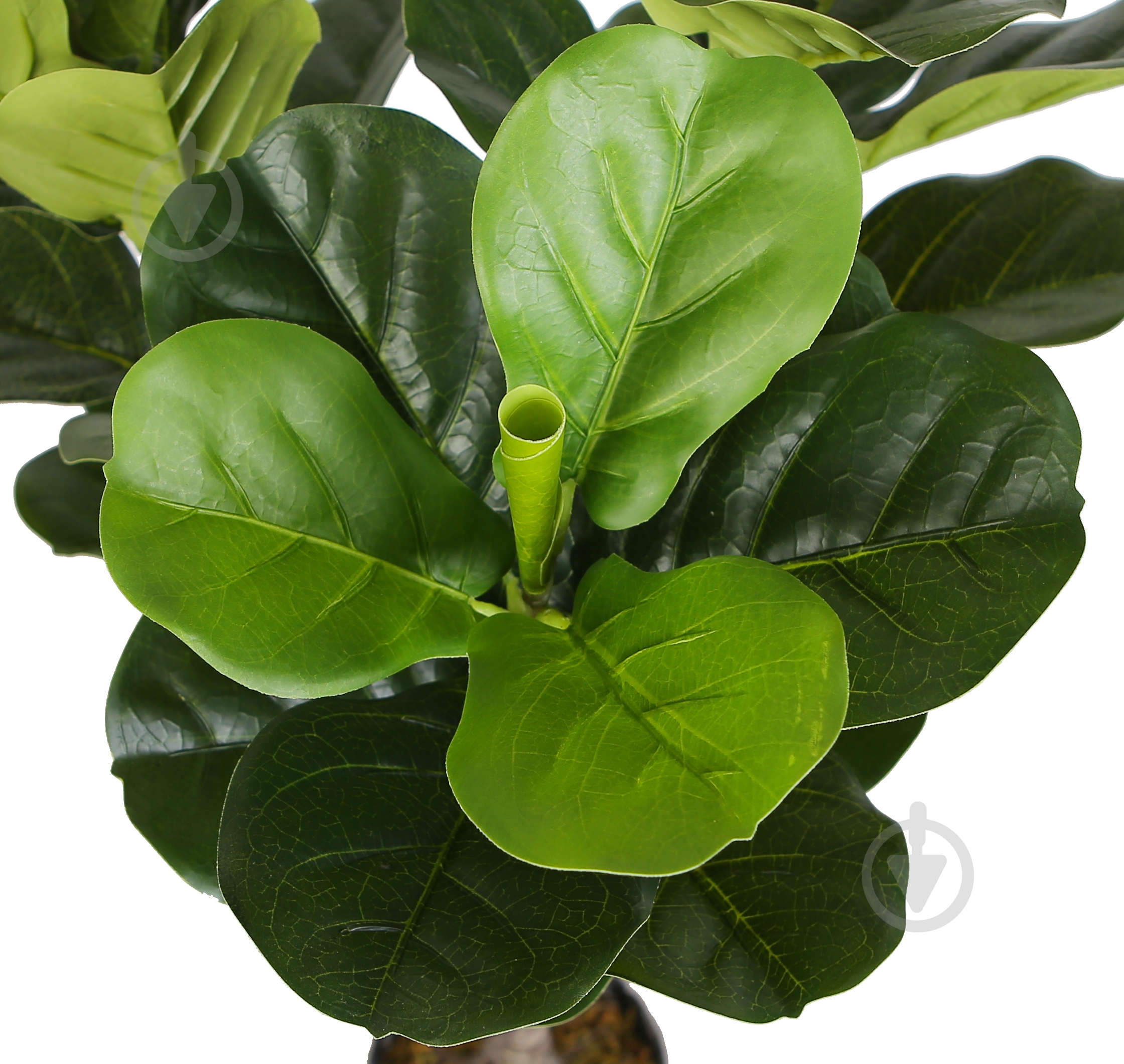 Дерево искусственное Fiddle (DW-04) Engard - фото 2