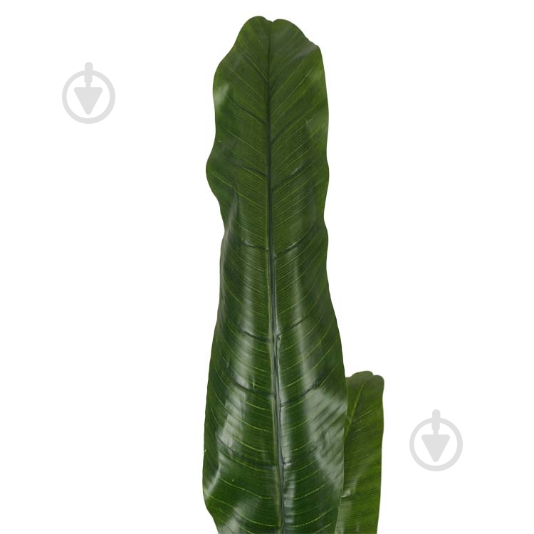 Дерево штучне Banana Tree (DW-08) Engard - фото 3 Дерево штучне Banana Tree (DW-08) Engard - фото 3