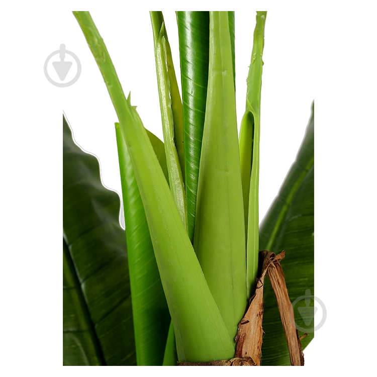Дерево штучне Banana Tree (DW-08) Engard - фото 6 Дерево штучне Banana Tree (DW-08) Engard - фото 6