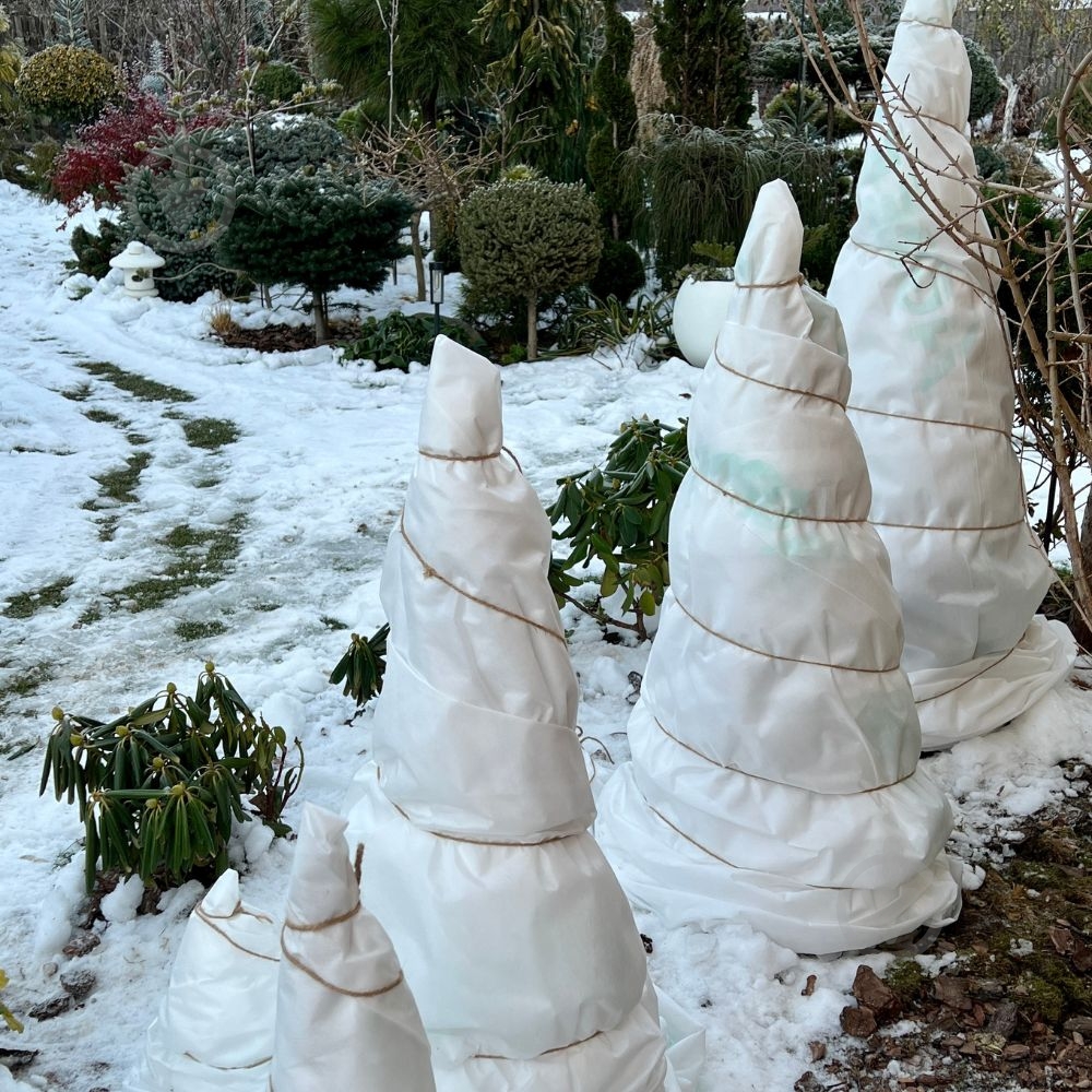 Агроволокно Agreen 50 г/кв.м 3,2х100 - фото 9 Агроволокно Agreen 50 г/кв.м 3,2х100 - фото 9