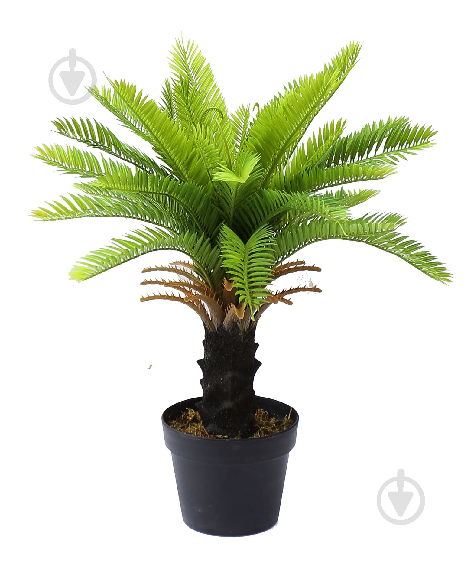 Дерево искусственное Cycas Palm (DW-24) Engard - фото 1