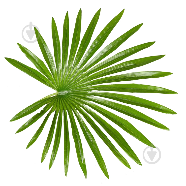 Дерево искусственное Fan Palm (DW-27) Engard - фото 3