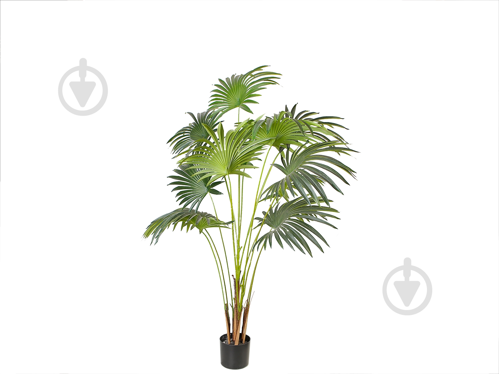 Дерево искусственное Fan Palm (DW-28) Engard - фото 2