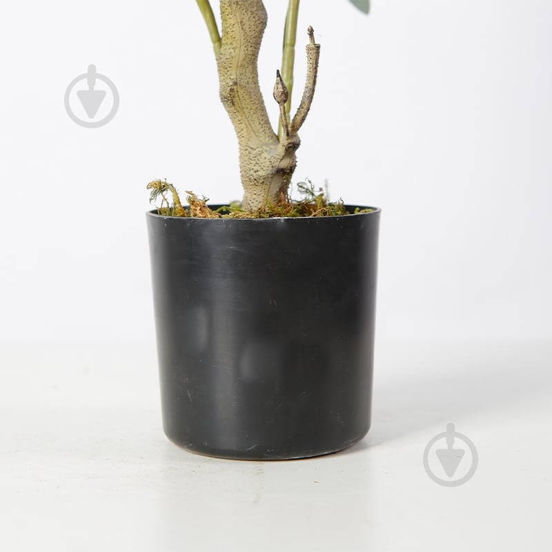 Дерево искусственное Olive Tree (DW-20) Engard - фото 5