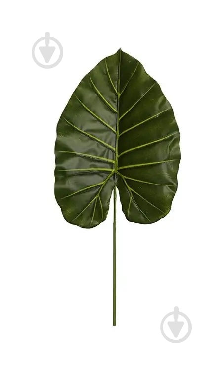 Рослина штучна Taro (DW-40) Engard - фото 1