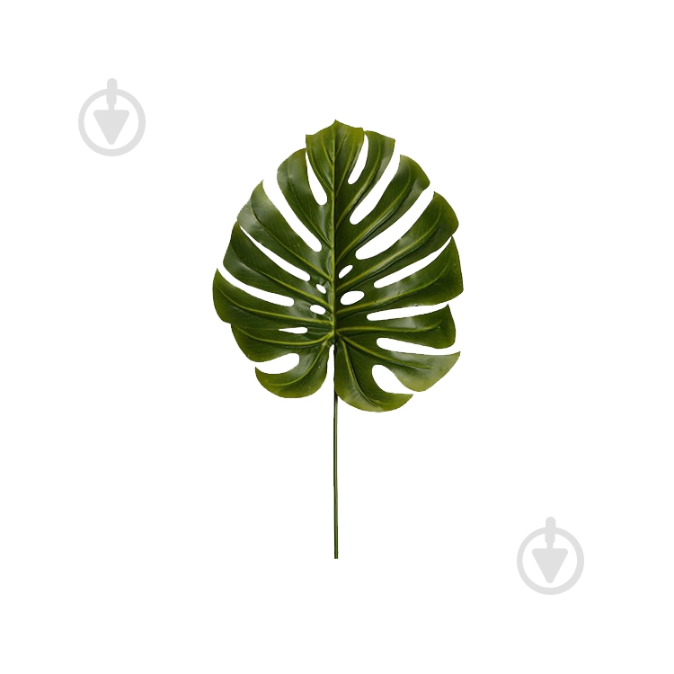 Веточка декоративная Monstera (DW-39) Engard - фото 1
