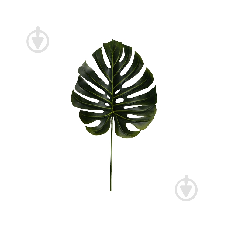 Веточка декоративная Monstera (DW-38) Engard - фото 1 Веточка декоративная Monstera (DW-38) Engard - фото 1