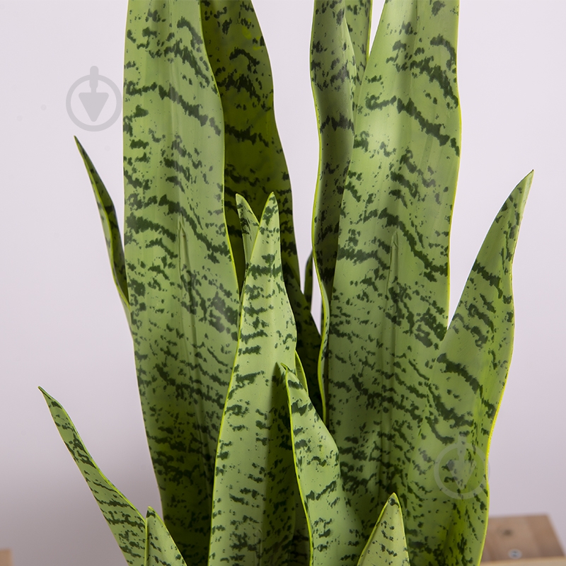 Растение искусственное Sansevieria (DW-11) Engard - фото 2 Растение искусственное Sansevieria (DW-11) Engard - фото 2