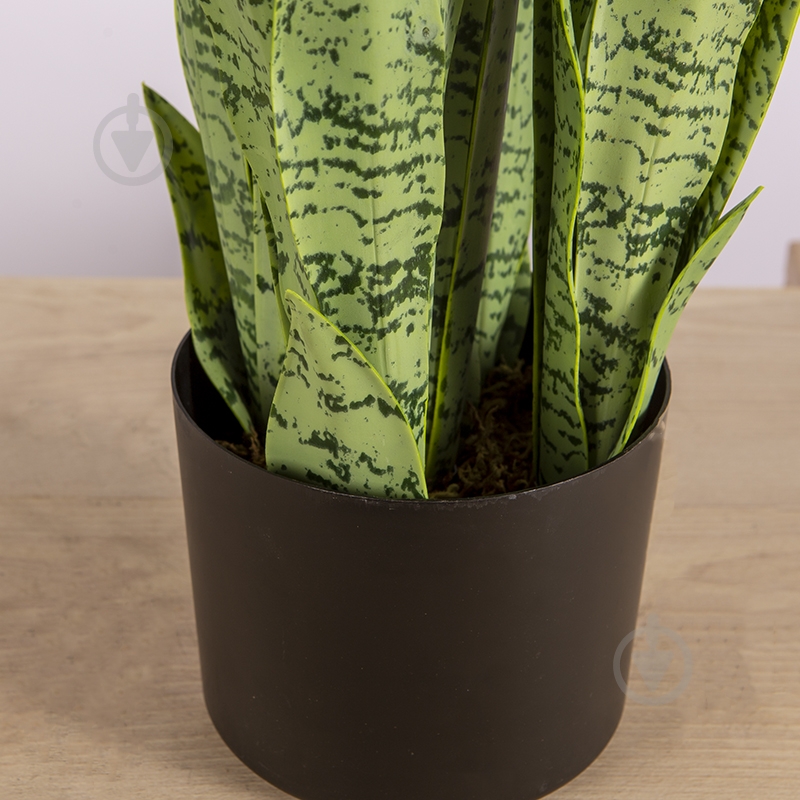 Растение искусственное Sansevieria (DW-11) Engard - фото 3 Растение искусственное Sansevieria (DW-11) Engard - фото 3