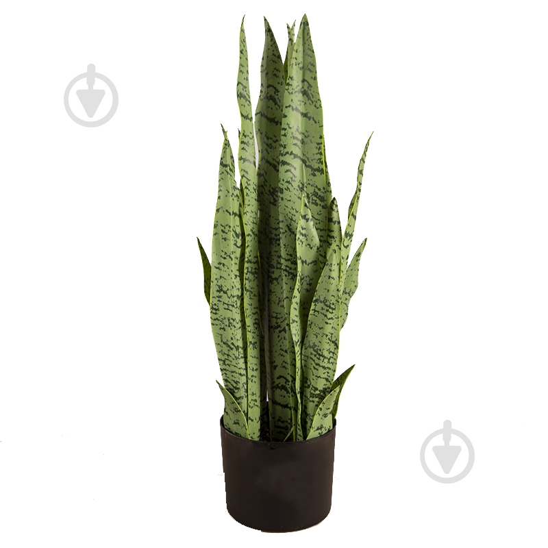 Растение искусственное Sansevieria (DW-11) Engard - фото 1 Растение искусственное Sansevieria (DW-11) Engard - фото 1