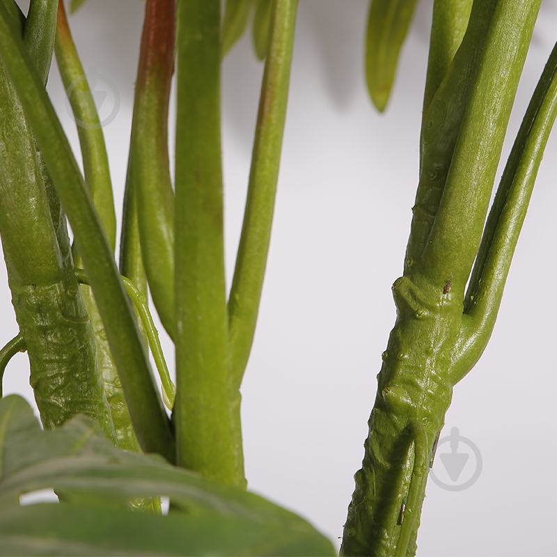 Растение искусственное Lacy Tree (DW-29) Engard - фото 3 Растение искусственное Lacy Tree (DW-29) Engard - фото 3