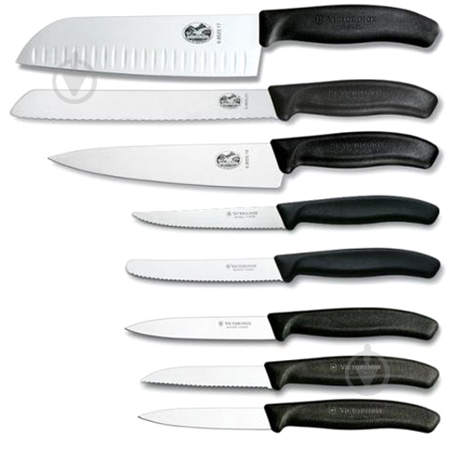 Набор кухонный Victorinox SwissClassic Cutlery Block 6.7173.8 9 предметов - фото 2