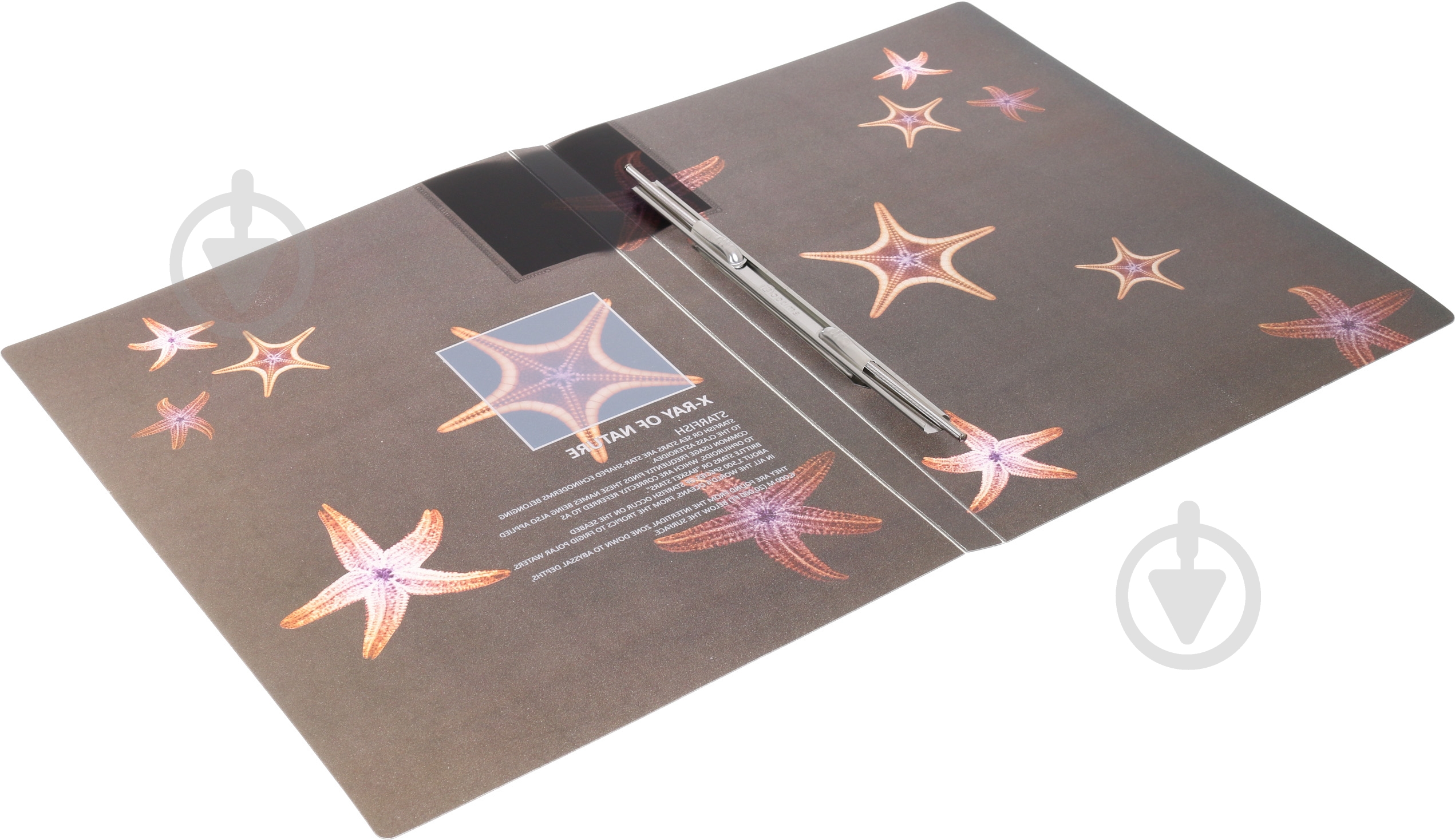 Папка Калейдоскоп А4 в ассортименте Optima - фото 9