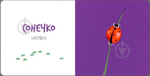 Книга Екатерина Таберко «Комахи» 978-617-7395-16-3 - фото 5