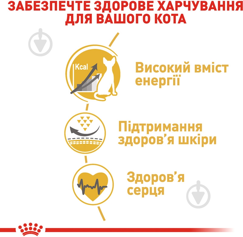 Корм сухой для взрослых кошек породы сфинкс Royal Canin Sphynx Adult домашняя птица, кукуруза, рис, томат 400 г - фото 5
