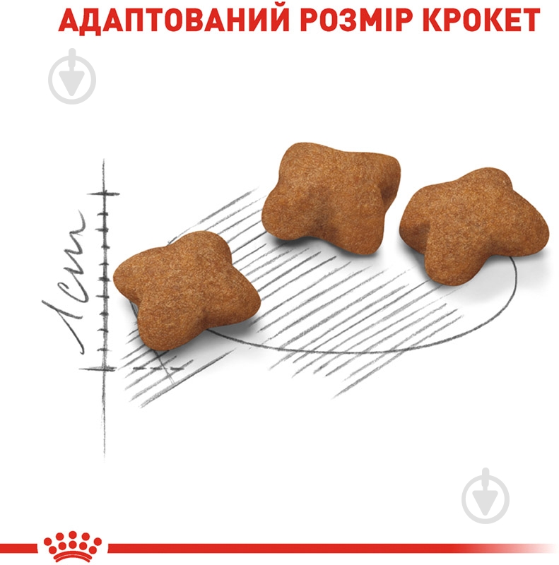Корм сухой для стерилизованных котят в возрасте от 6 до 12 месяцев Royal Canin Kitten Sterilised домашняя птица, кукуруза, рис 2 кг - фото 3