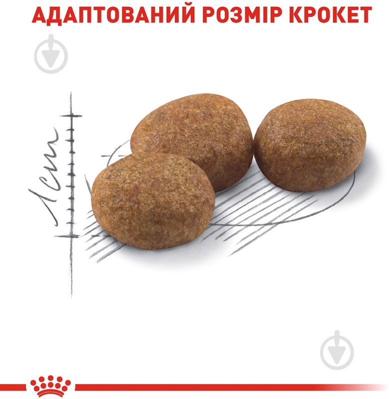 Корм сухий для стерилізованих котів віком від 7 до 12 років Royal Canin Sterilised 7+ домашня птиця, кукурудза 400 г - фото 4