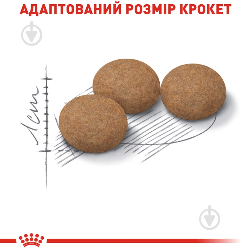 Корм сухой для стареющих стерилизованных кошек от 12 лет Royal Canin Ageing 12+ Sterilised домашняя птица, кукуруза 400 г - фото 2