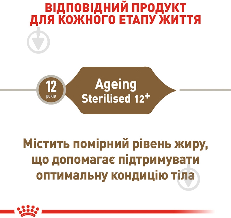 Корм сухой для стареющих стерилизованных кошек от 12 лет Royal Canin Ageing 12+ Sterilised домашняя птица, кукуруза 400 г - фото 3