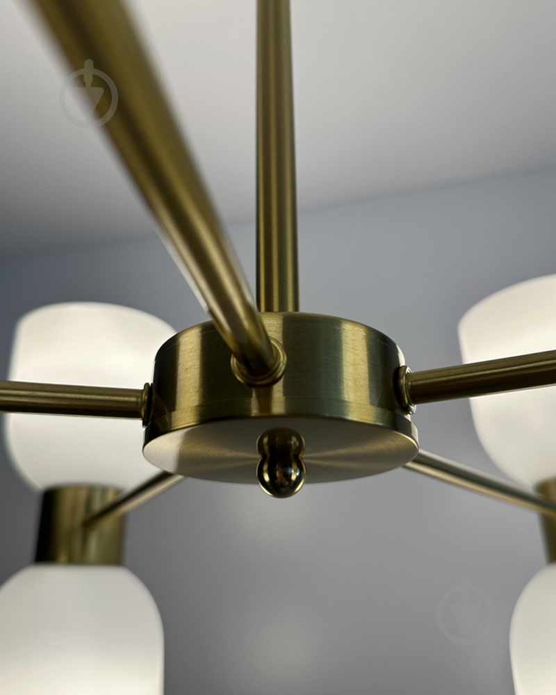 Люстра Edlin Aurora 10x12 Вт E27 PL321155-10 - фото 6