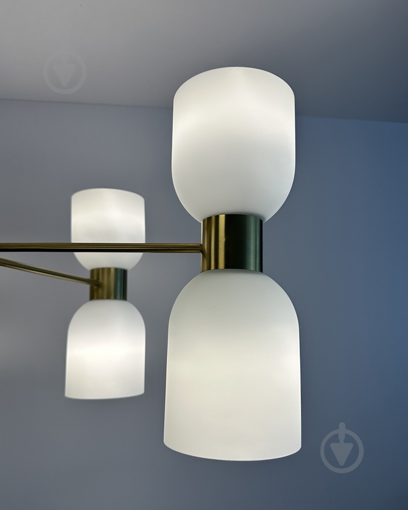 Люстра Edlin Aurora 10x12 Вт E27 PL321155-10 - фото 5