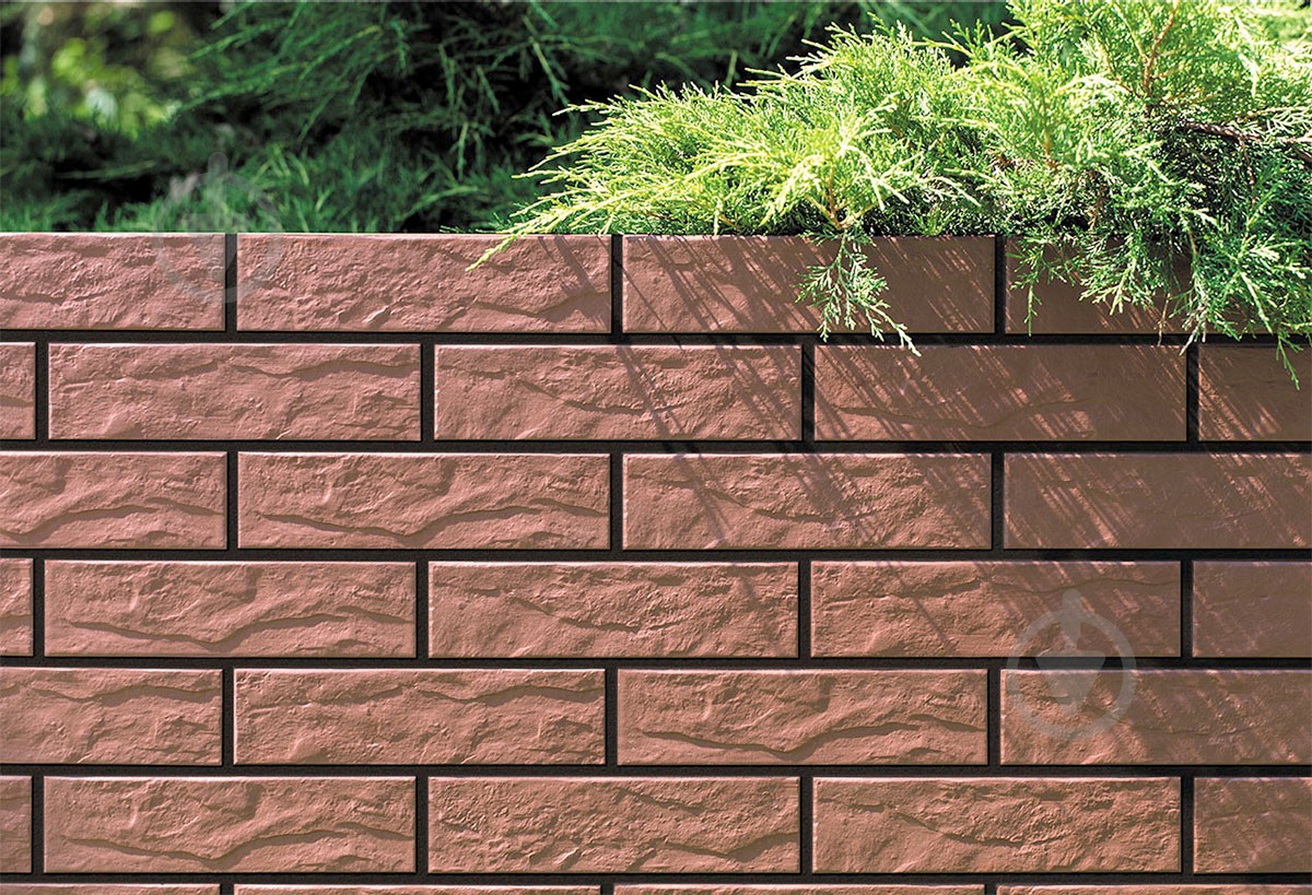 Клинкерная плитка Cerrad Burgund Rustiko 25x6,5 - фото 2