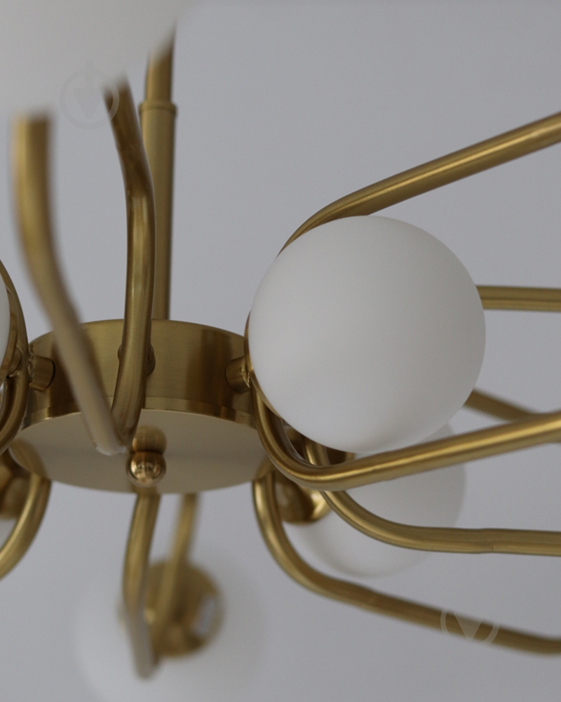 Люстра Edlin Sonte 12x10 Вт G9 PL321159-12 - фото 3 Люстра Edlin Sonte 12x10 Вт G9 PL321159-12 - фото 3