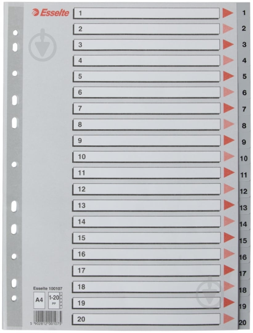 Разделитель пластиковый 100107 Esselte - фото 1