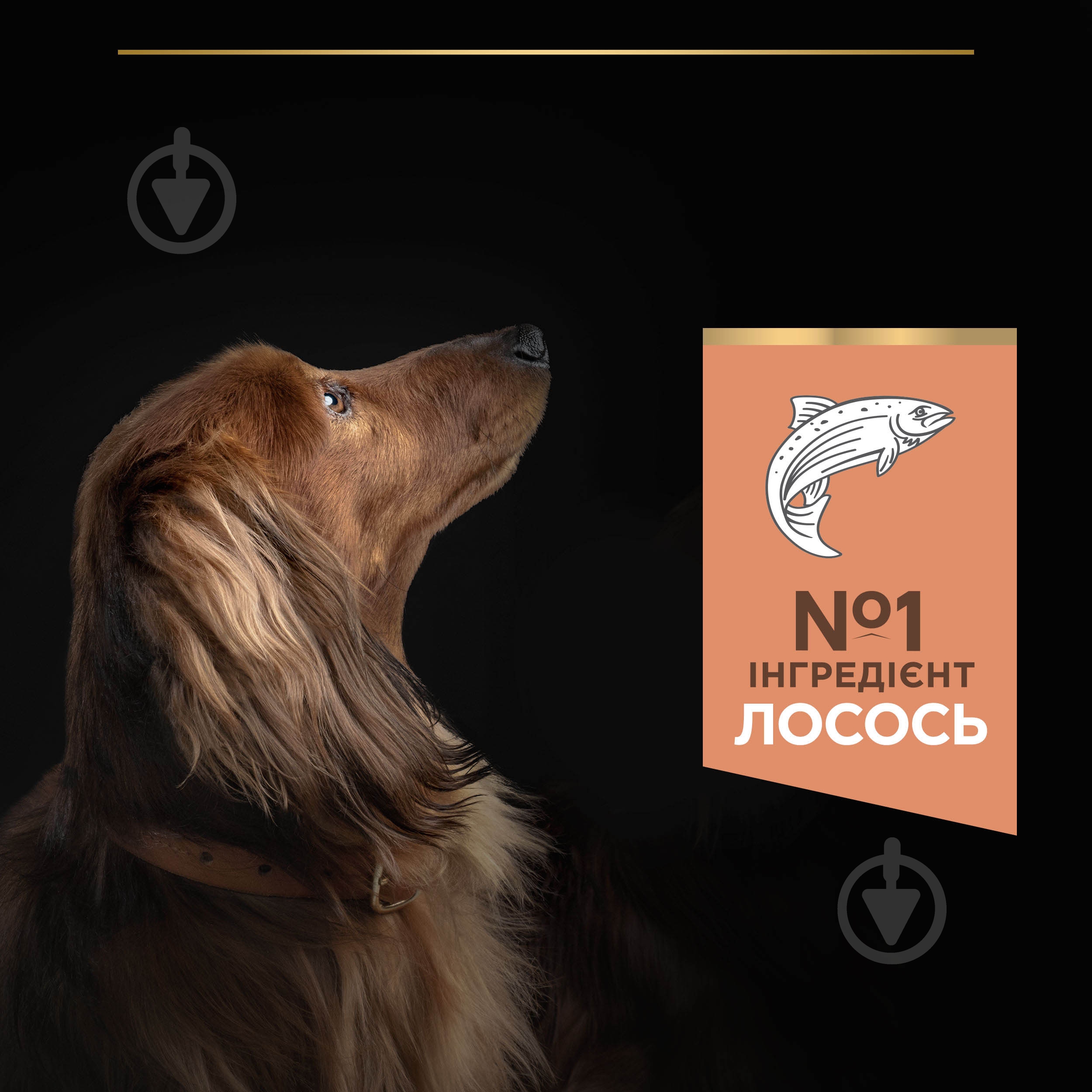 Корм сухой ProPlan by Purina Small&Mini Adult 1+ Sensitive Skin для взрослых собак с чувствительной кожей с лососем 700 г - фото 6