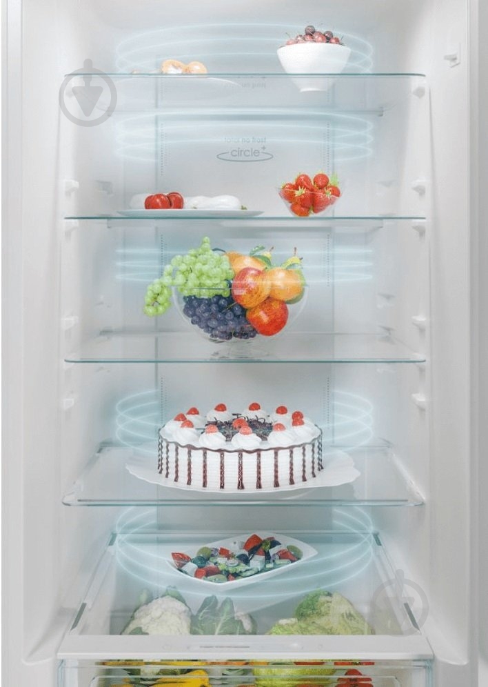 Холодильник Candy CCE4T620EWU - фото 7