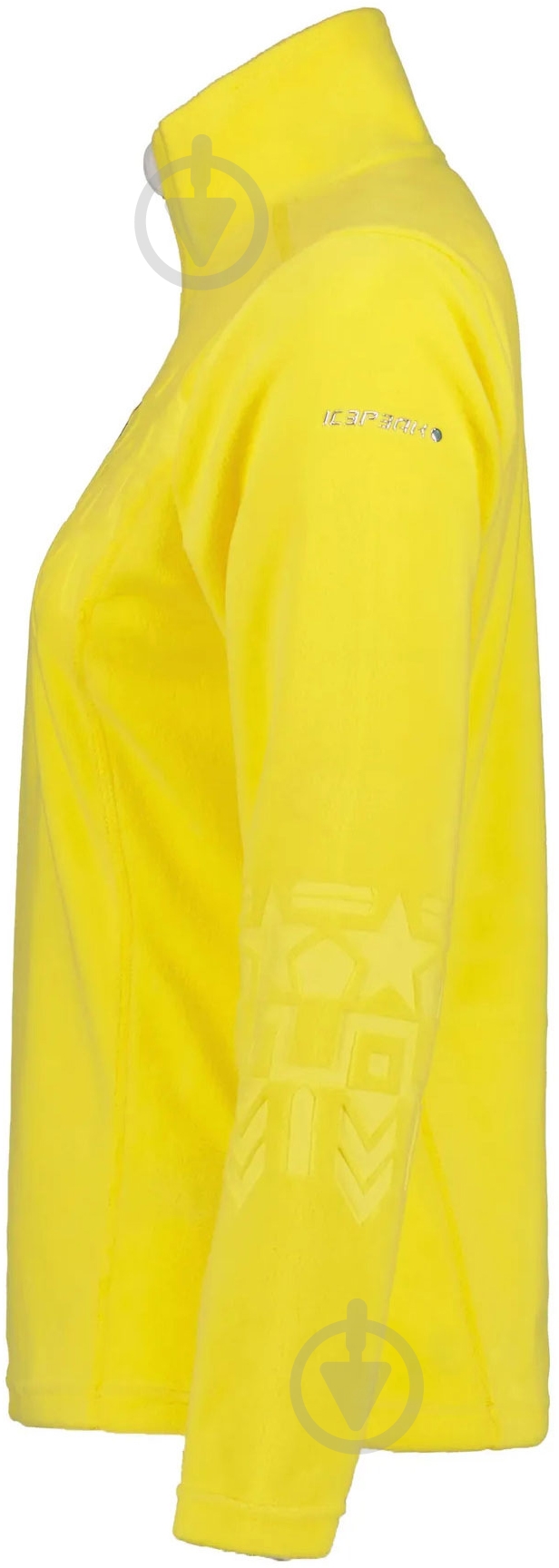 Джемпер Icepeak FABIUS 54774_596_I_425 р.S желтый - фото 2 Джемпер Icepeak FABIUS 54774_596_I_425 р.S желтый - фото 2