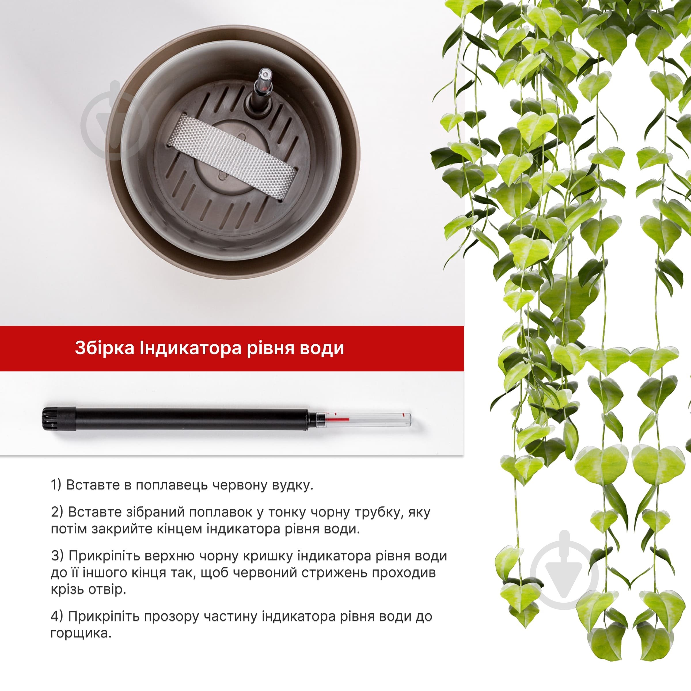 Вазон пластиковий Plastia з системою автополиву Tolita 16 см круглий 1,3 л коричневий (1707081607) - фото 4 Вазон пластиковий Plastia з системою автополиву Tolita 16 см круглий 1,3 л коричневий (1707081607) - фото 4