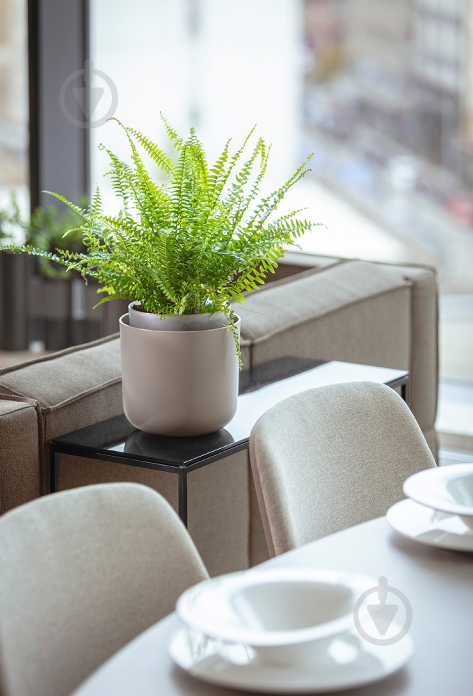 Вазон пластиковий Plastia з системою автополиву Tolita 16 см круглий 1,3 л коричневий (1707081607) - фото 13 Вазон пластиковий Plastia з системою автополиву Tolita 16 см круглий 1,3 л коричневий (1707081607) - фото 13